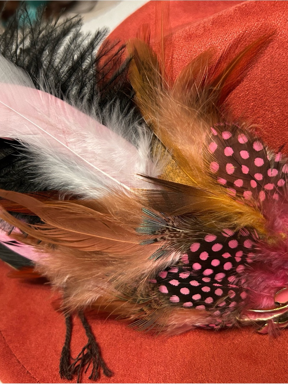 Colorful Feather Hat pin with Pink Polka-Dot Guinea feather Accents